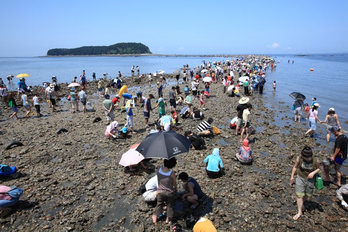 Beach-goers walk along the uncovered spit and collect seashells.