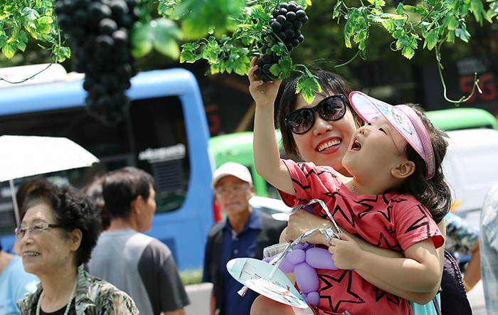 A parent and child sample some fruit in the special grape garden at Gwanghwamun Square on Aug. 6, the day that has been designated as Grape Day.