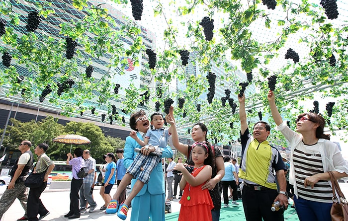 Comedian Kim Jong-seok, holding up a child and wearing a blue suit, picks grapes with other visitors to the garden in Gwanghwamun Square on Aug. 6.