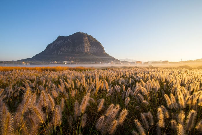 A silver prize winner, ‘Morning of Sanbangsan Mountain,’ shows Sanbangsan Mountain on Jeju Island against a field of reeds.