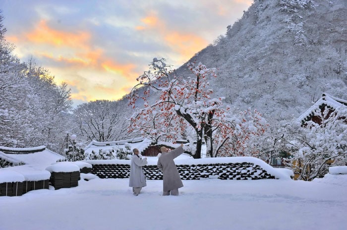 A picture of the snowscape at Naejangsa Temple in Jeongeup, North Jeolla Province, is selected as the winner of a special award for Internet users.