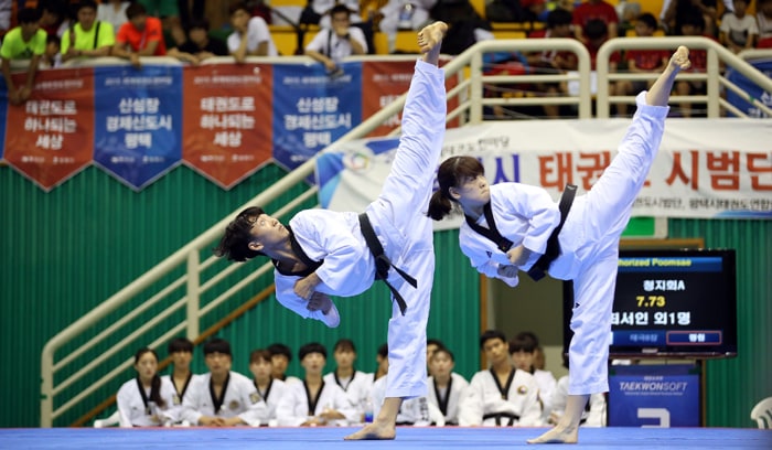 Taekwondo_Gyeonggi_Province_02.jpg