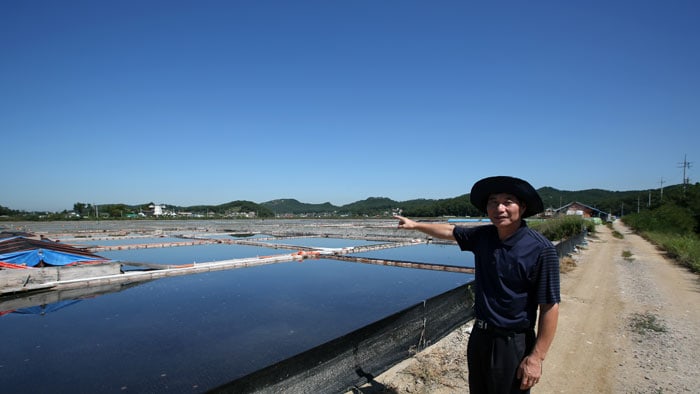 Chung Hong-sup, from the tourism promotion department in Ansan City, explains how to produce salt in a natural, environmentally-friendly manner using sea water that flows across the island through the mudflats.