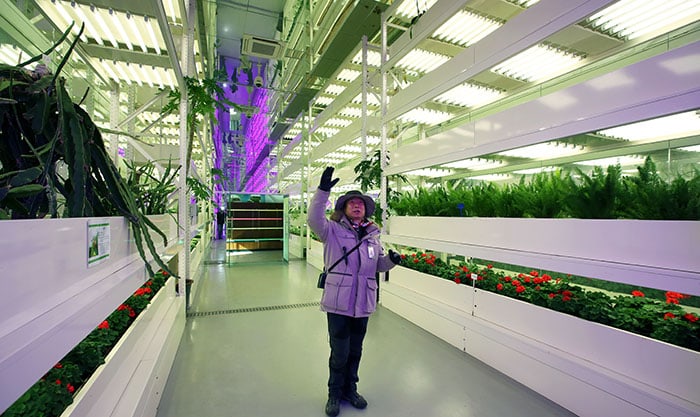 김종백 순천만국가정원 해설사가 25일 LED 조명을 활용해 식물을 재배하는 기술에 대해 설명하고 있다. 
