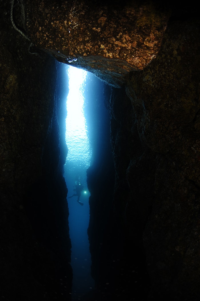 Jeong Hye-sim wins the gold prize in the wide angle with diver category in the Ulleungdo-Dokdo International Underwater Photography Competition 2016.