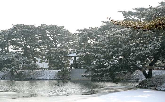 The trees around the Uirimji Reservoir look like a scene from a traditional Korean painting when they're covered in snow.