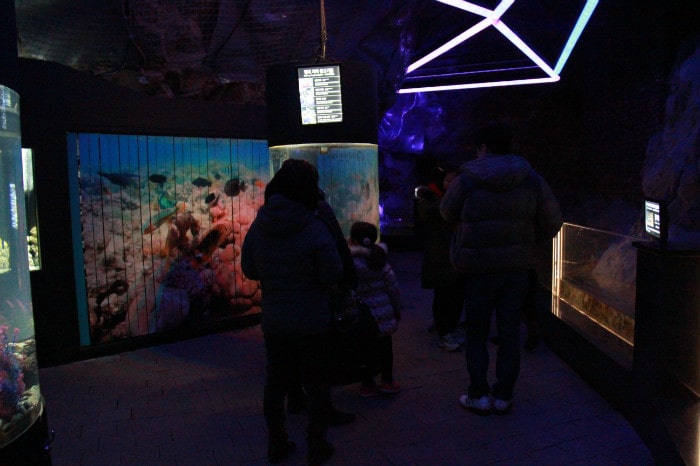Visitors to the Gwangmyeong Cave enjoy the hallway aquarium, deep underground, on Feb. 24.