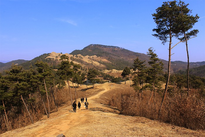 170330_Goryeong2_in.jpg