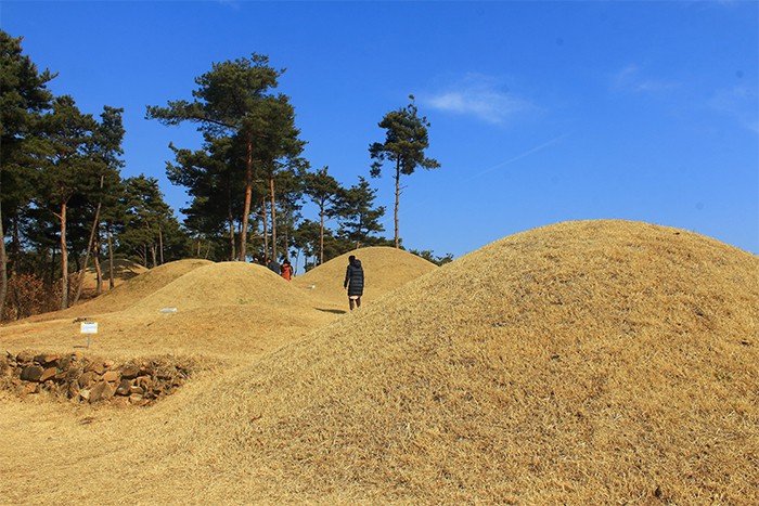 170330_Goryeong3_in.jpg