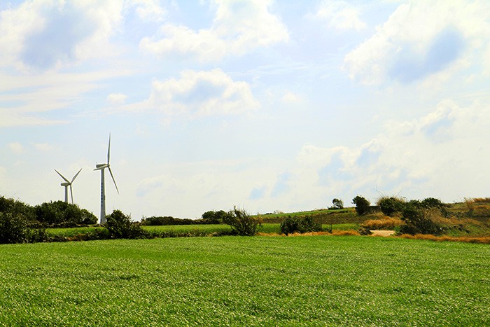 Residents on Gapado Island, a small outcropping 5.5 kilometers south of Jeju Island, rely on wind turbines and solar panels for their energy.