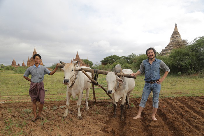 Kang Kitae helps a farmer in Myanmar plow his field with cows, during his trip to the country on a tractor.
