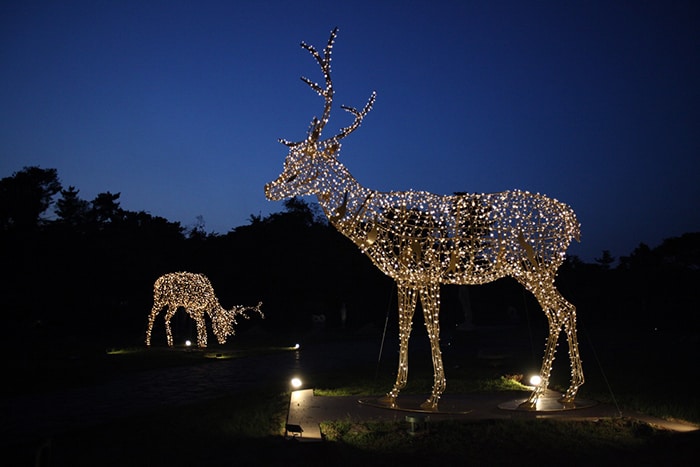 The Jeju Sculpture Park in Seogwipo-si City decorates its pathways with 40 sculptures that light up every night from 6:30 p.m. to 1 a.m. (Forest Fantasia)