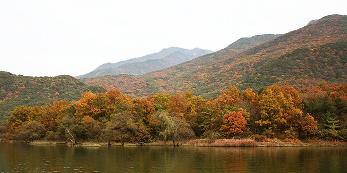 The peak of autumn foliage in Korea this year will begin Oct. 17. People can enjoy the colorful fall foliage at various spots, including some well-known mountain parks. Above is the Sanmagiyet-gil Road (산막이옛길) in Goesan County, Chungcheongbuk-do Province.