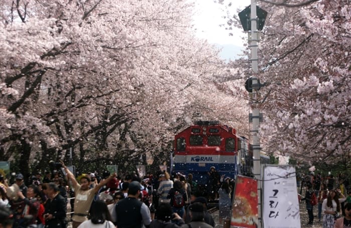 springflower_article_04.JPG