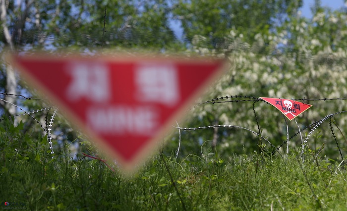 남북은 1일부터 판문점 공동경비구역(JSA)과 강원도 철원 비무장지대(DMZ) 내 지뢰제거 작업에 착수했다. 코리아넷DB