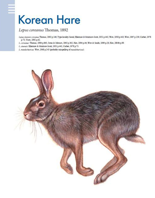 The Korean hare is among the 127 species featured in ”Mammals of Korea.”