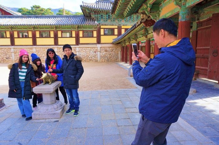 The golden pig statue at the front yard of Geungnakjeon Hall at Bulguksa Temple in Gyeongju, Gyeongsangbuk-do Province, is a popular tourist spot among visitors seeking to attract good luck in the new year.