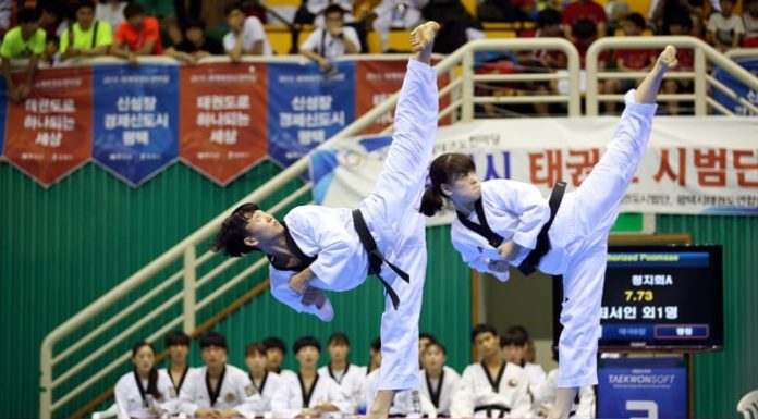 Taekwondo_Gyeonggi_Province_02.jpg