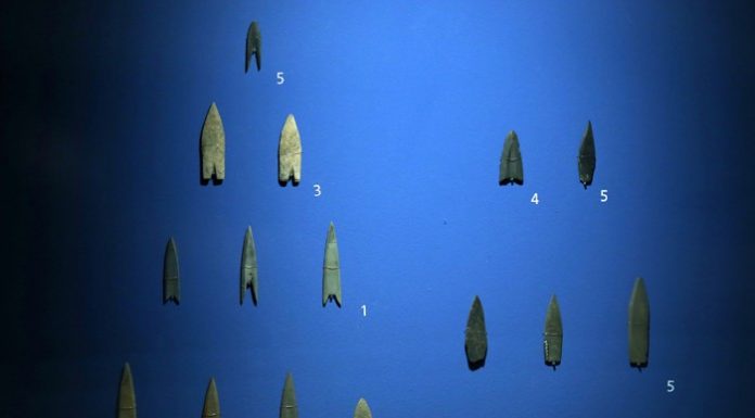 New_Stone_Age_Exhibition_06.jpg