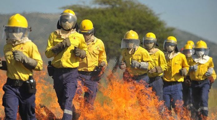 Wildfire_1005_L2.jpg