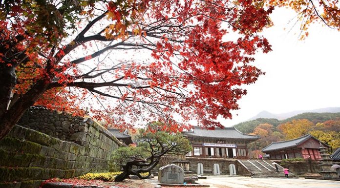 Cheoneunsa_Temple_Article_04.jpg