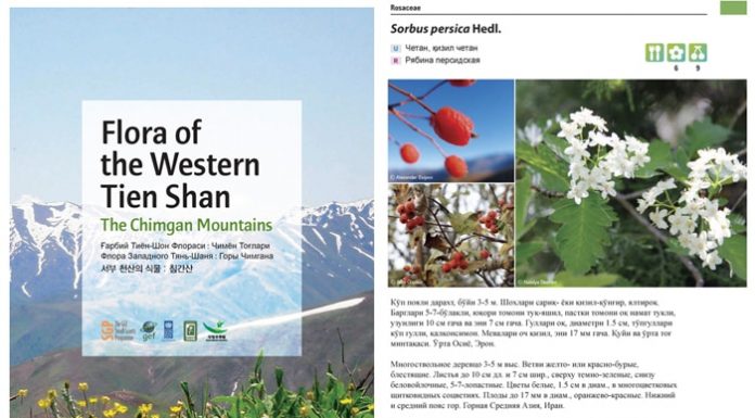 plant20book.jpg