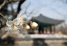Spring_2016_National_Museum_Korea_Article_01.jpg