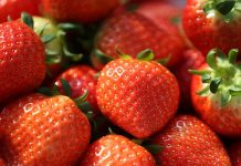 strawberries_JH_L1.jpg