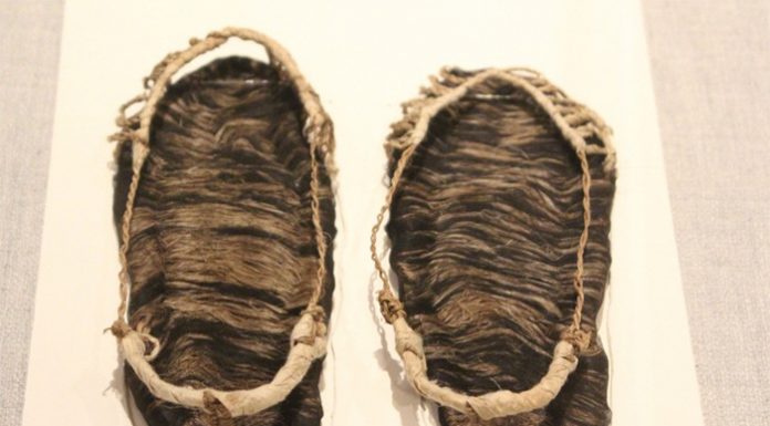 Care and love across time IMG_3118_inside.jpg