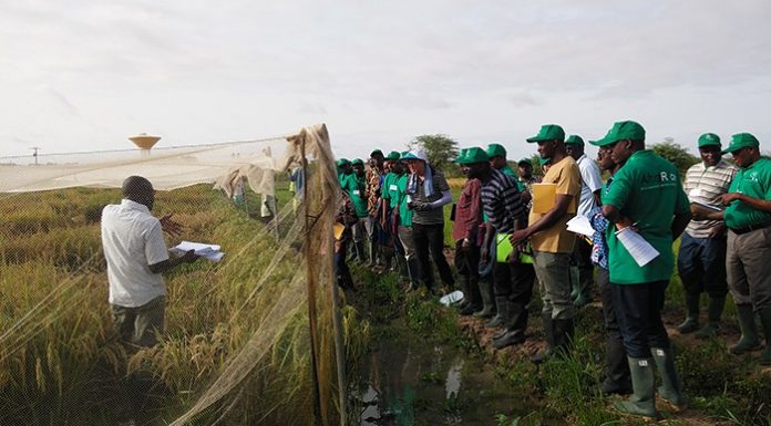 Korean farming, water management systems go global 160811_koreacooperation_art1.jpg