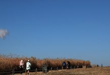 Sky_Park_20161124_Article_01.jpg