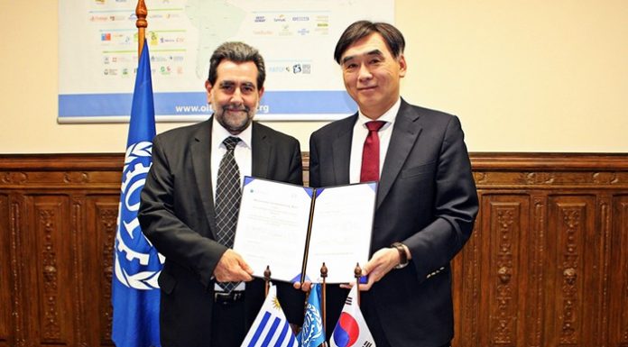 HR_Exchanges_Korea_Latin_America_01.jpg