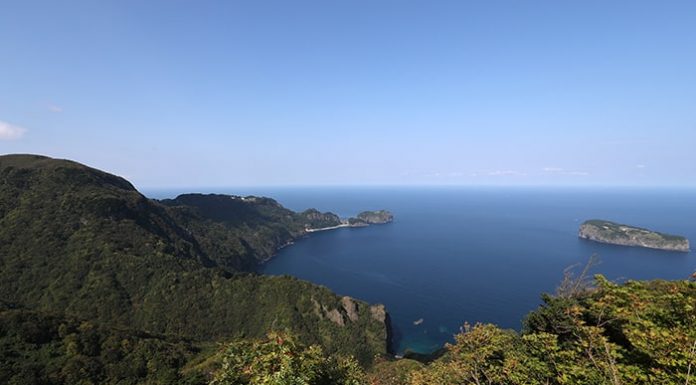 Gov’t creates fund for small ecofriendly companies nature_171213_article_01.jpg