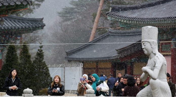 Time for a walk across Gangwon 180201_Time20for20a20walk20across20Gangwon_01.jpg