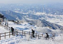 korea20winter_text01.jpg