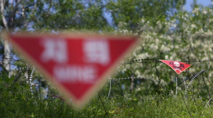 Two Koreas begin clearing mines along DMZ