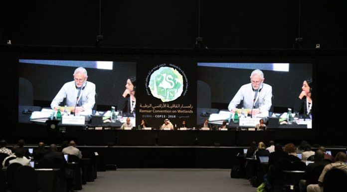 Four Korean sites accredited as international wetland cities