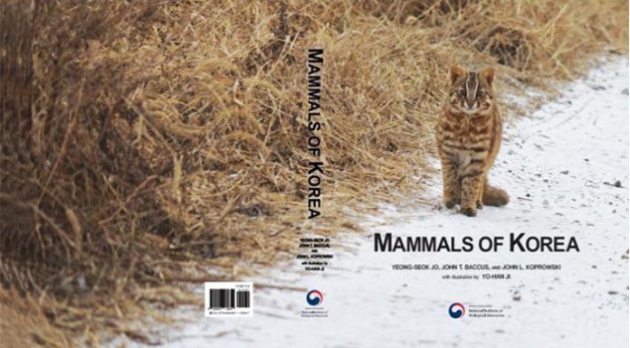 1st English-language guide on Korean Peninsula mammals published