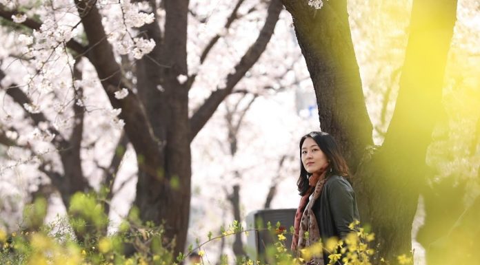 #HANAGo Season 2 Ep. 4 – Korea’s spring flowers