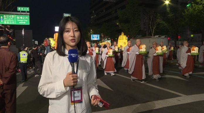 Lotus Lantern Parade lights up Seoul