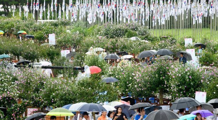 Aug. 15: The day Korea found light again