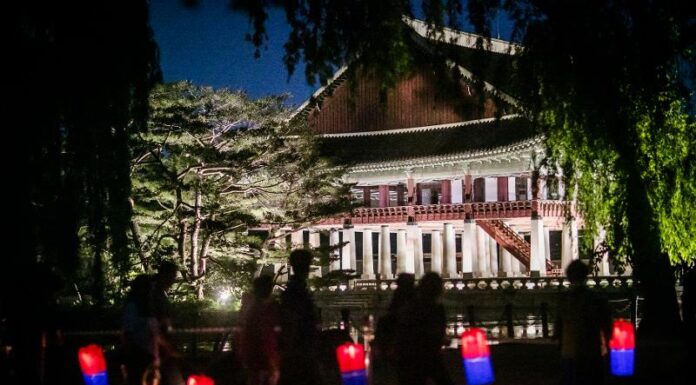Gorgeous night view, royal cuisine await at Gyeongbokgung Palace