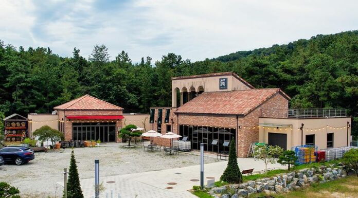 Premium traditional liquor uses new methods, regional ingredients