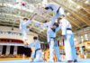 Agency eyes joint UNESCO registration of taekwondo with NK