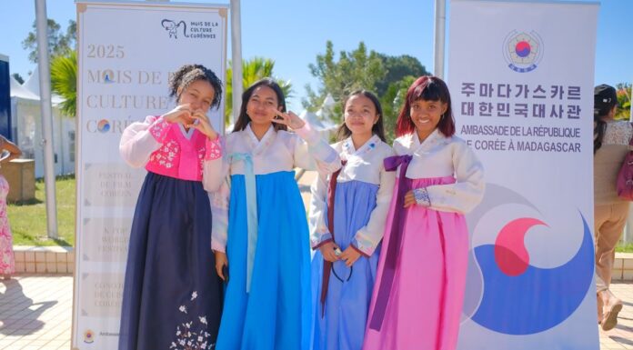 No. of Hallyu fans in Africa soared 196-fold from 2014-23: report