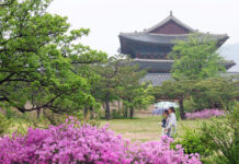 No. of visitors at 6 major landmarks in Seoul grows in first half