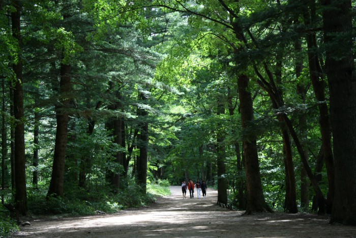 National parks offer fresh spring break